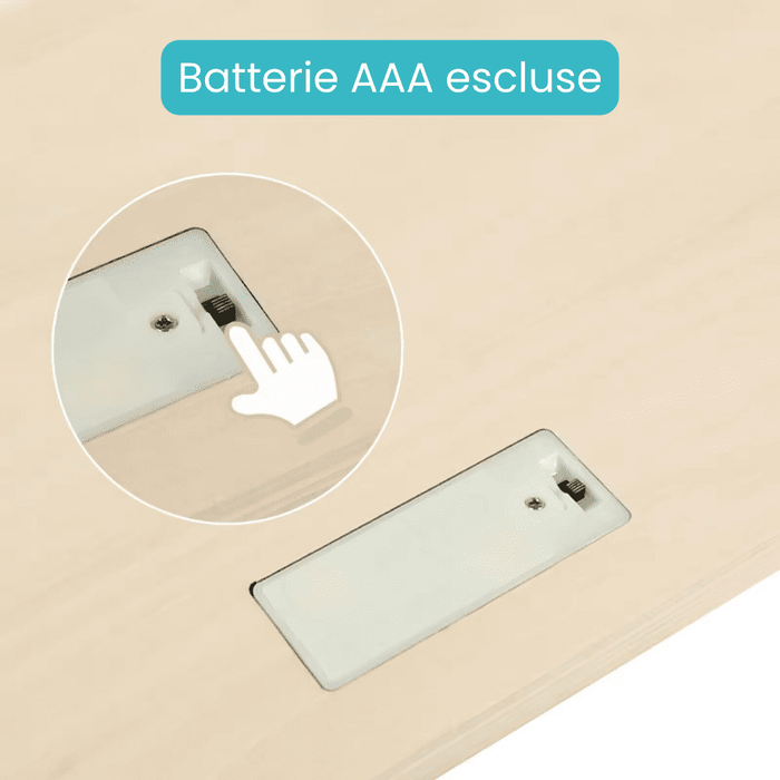 Sound Interactive Wooden Puzzle