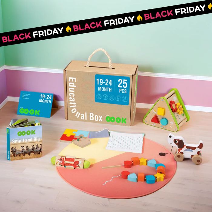 Montessori Games Box 19-24 Months