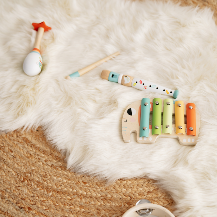 Set Strumenti Musicali Legno