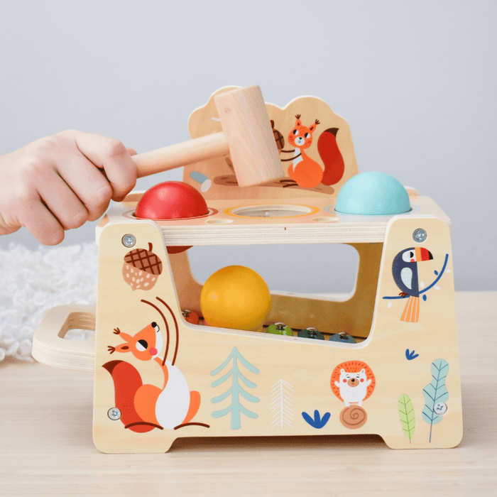Gioco Martelletto Musicale Xilofono