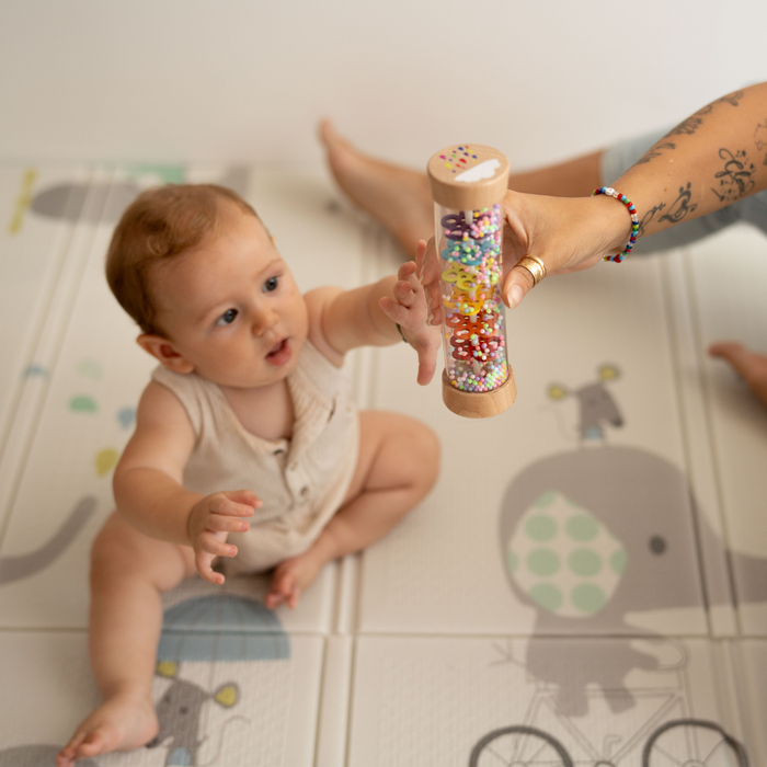 Rain Stick Rattle