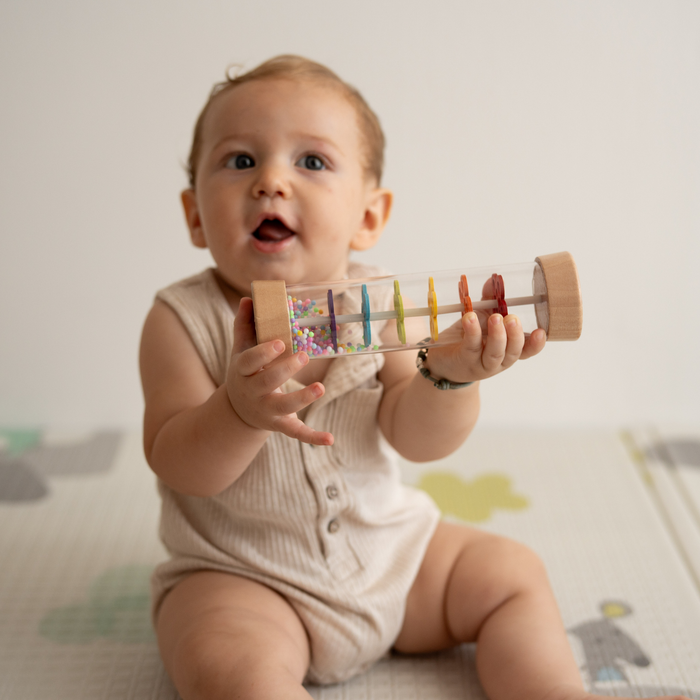 Rain Stick Rattle