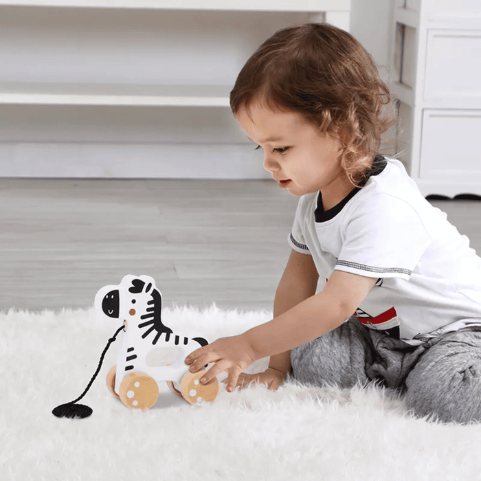 Trainable Animals My Forest