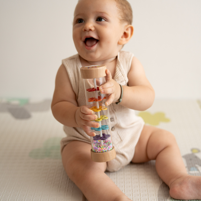 Rain Stick Rattle