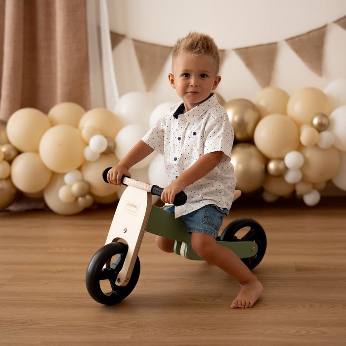 Maxi Green Sage 2 in 1 Tricycle Bike