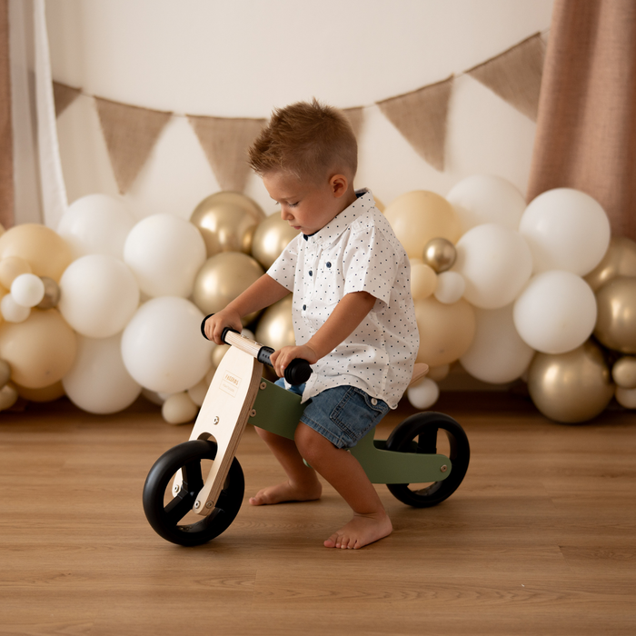 Maxi Green Sage 2 in 1 Tricycle Bike