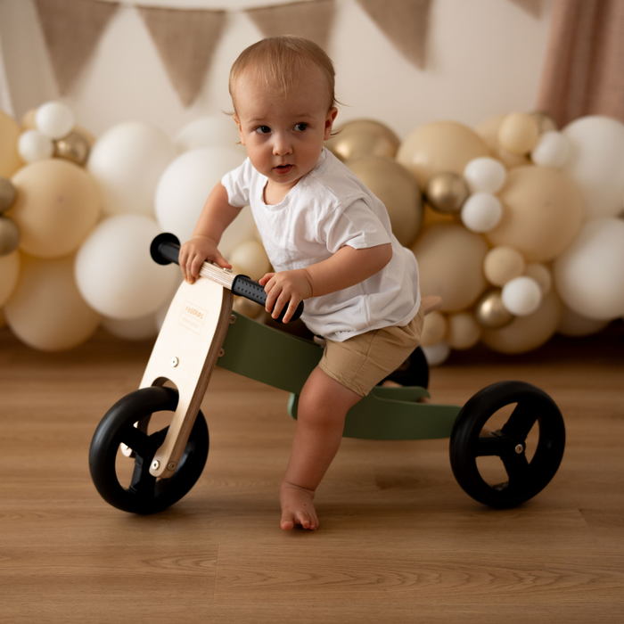 Maxi Green Sage 2 in 1 Tricycle Bike