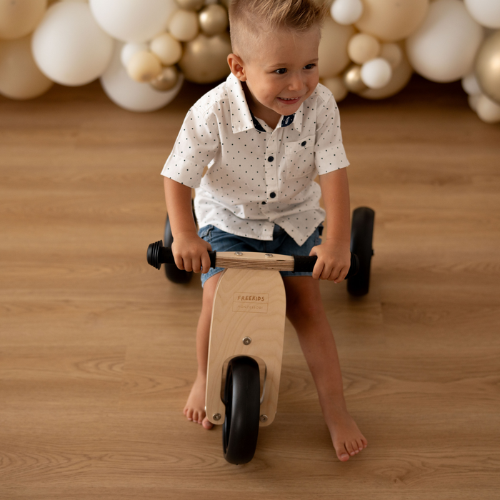 Maxi Green Sage 2 in 1 Tricycle Bike