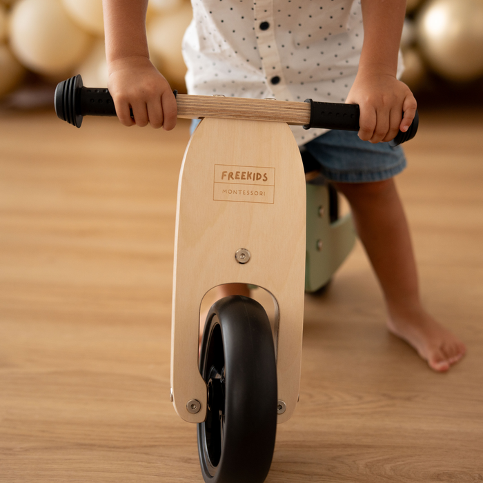 Maxi Green Sage 2 in 1 Tricycle Bike