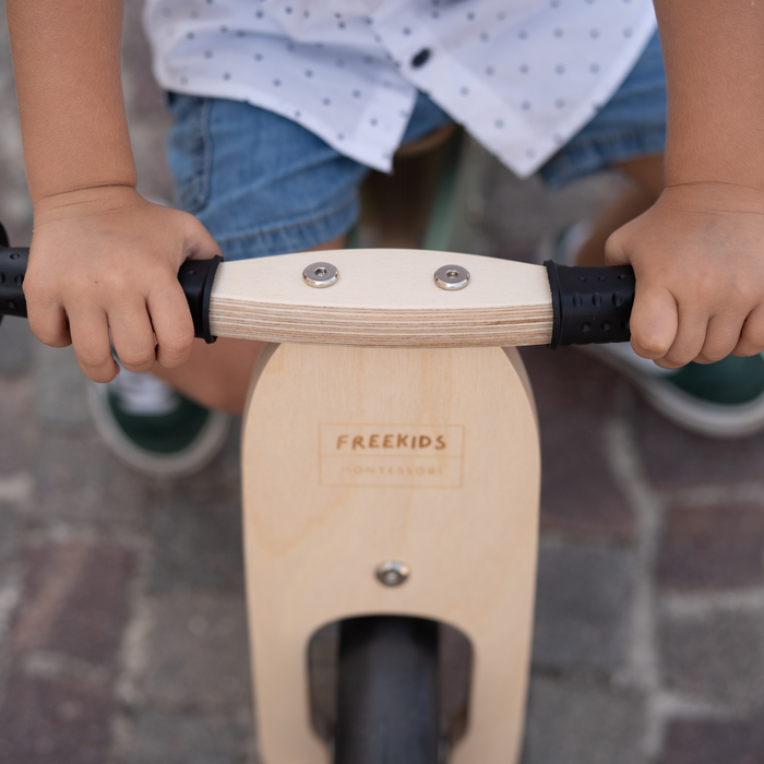 Maxi Green Sage 2 in 1 Tricycle Bike