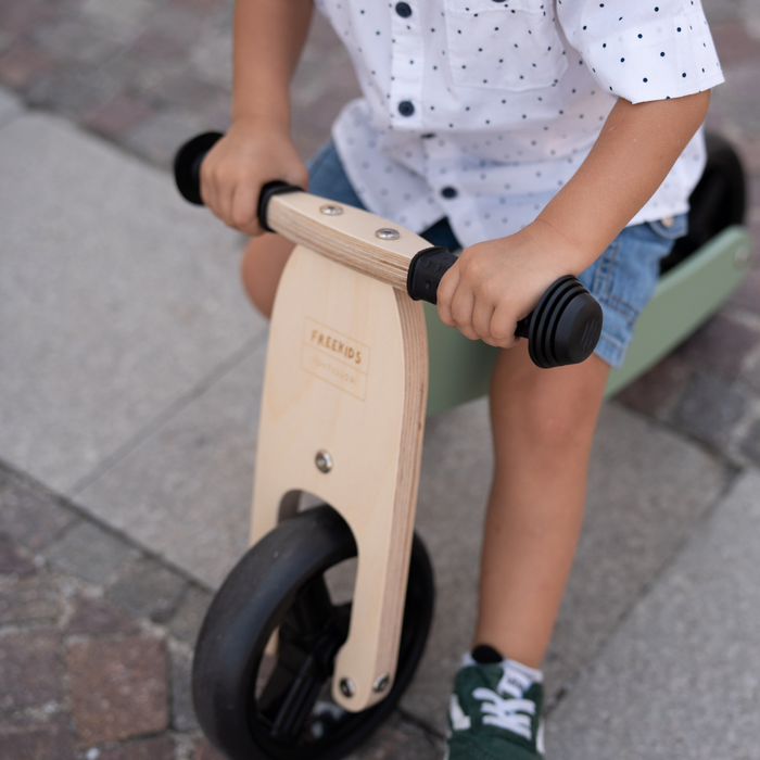 Maxi Green Sage 2 in 1 Tricycle Bike
