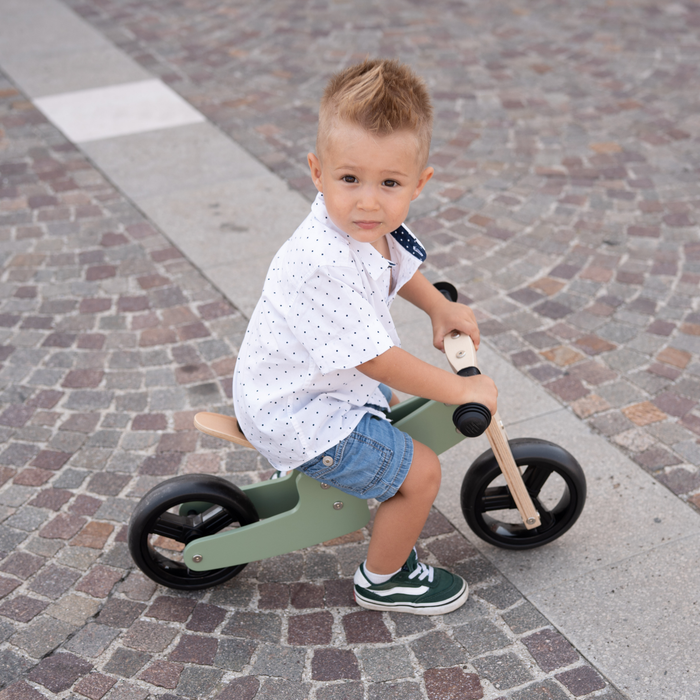 Maxi Green Sage 2 in 1 Tricycle Bike