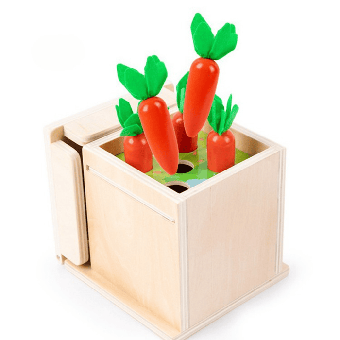 PlayBox Montessori 4 Giochi in 1