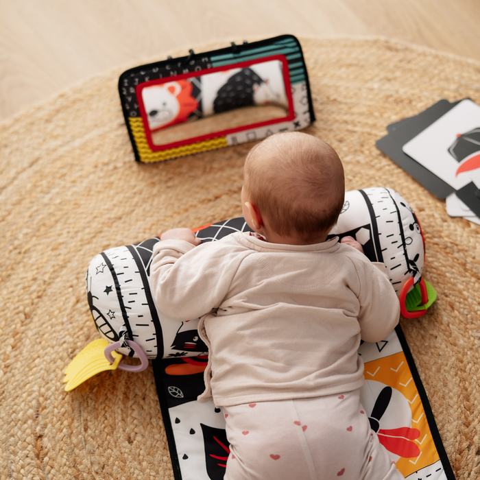 Bundle Set Bauchzeit