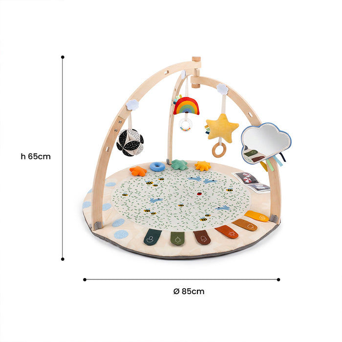 Palestrina Neonato Montessori 4 Stagioni