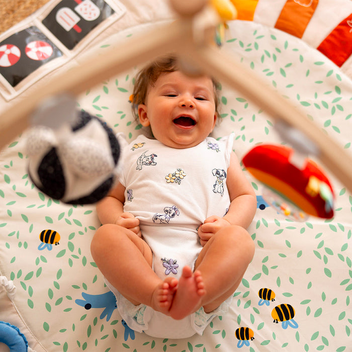 Palestrina Neonato Montessori 4 Stagioni