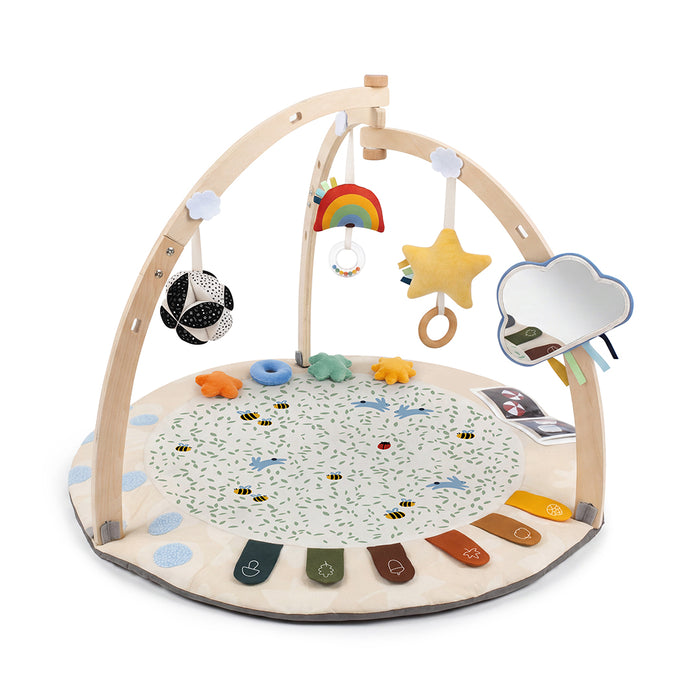 Palestrina Neonato Montessori 4 Stagioni