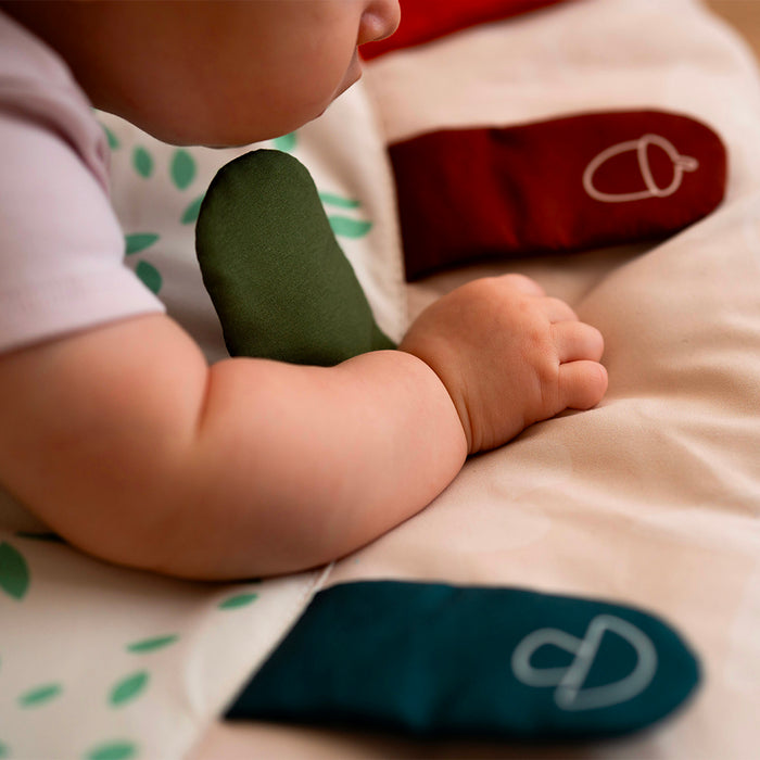 Palestrina Neonato Montessori 4 Stagioni
