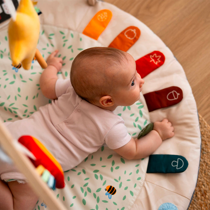 Palestrina Neonato Montessori 4 Stagioni