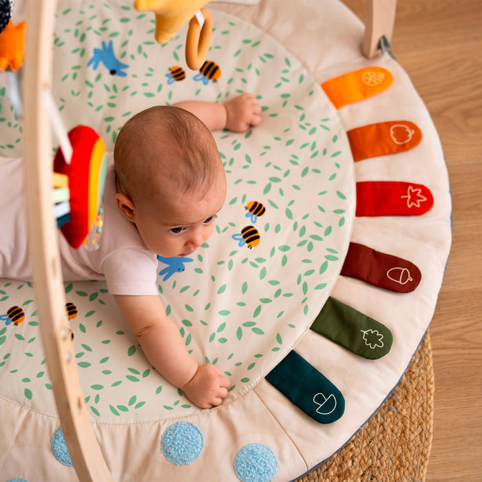 Palestrina Neonato Montessori 4 Stagioni