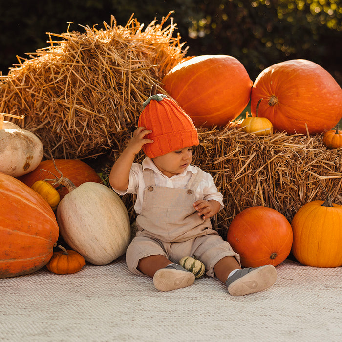 Set Autunno in Fattoria