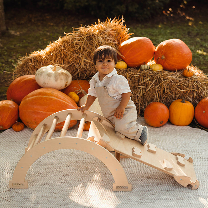 Arco Dondolo Montessori con Cuscino e Rampa