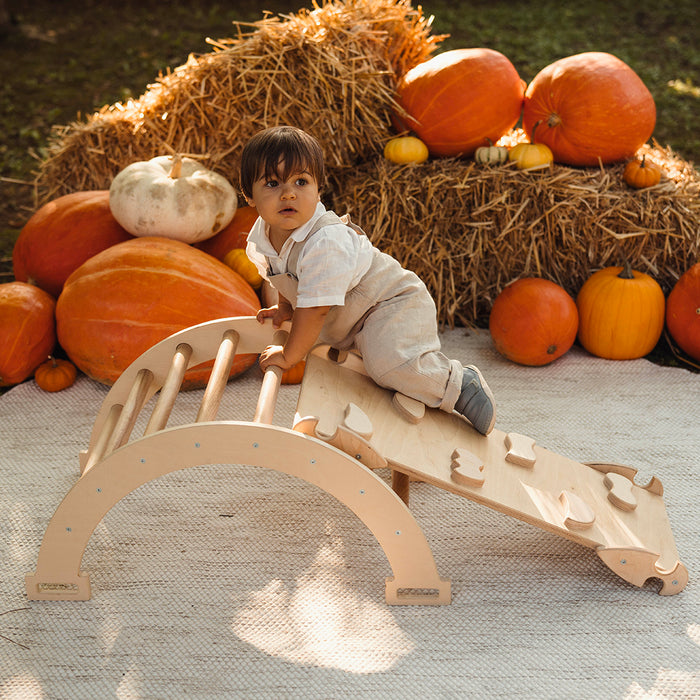 Arco Dondolo Montessori con Cuscino e Rampa